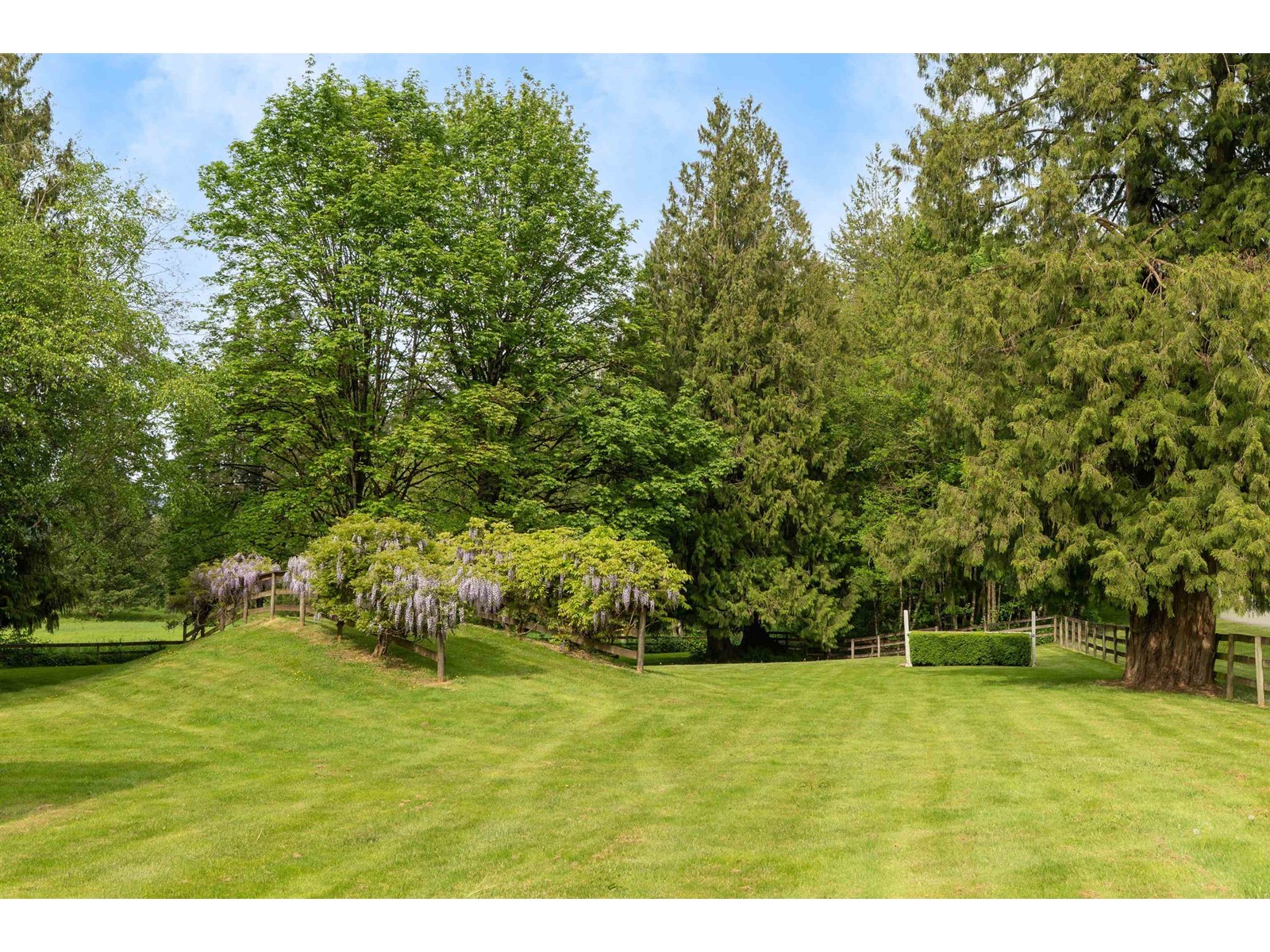 25769 82 Avenue, Langley, British Columbia  V1M 2M8 - Photo 37 - R2986044