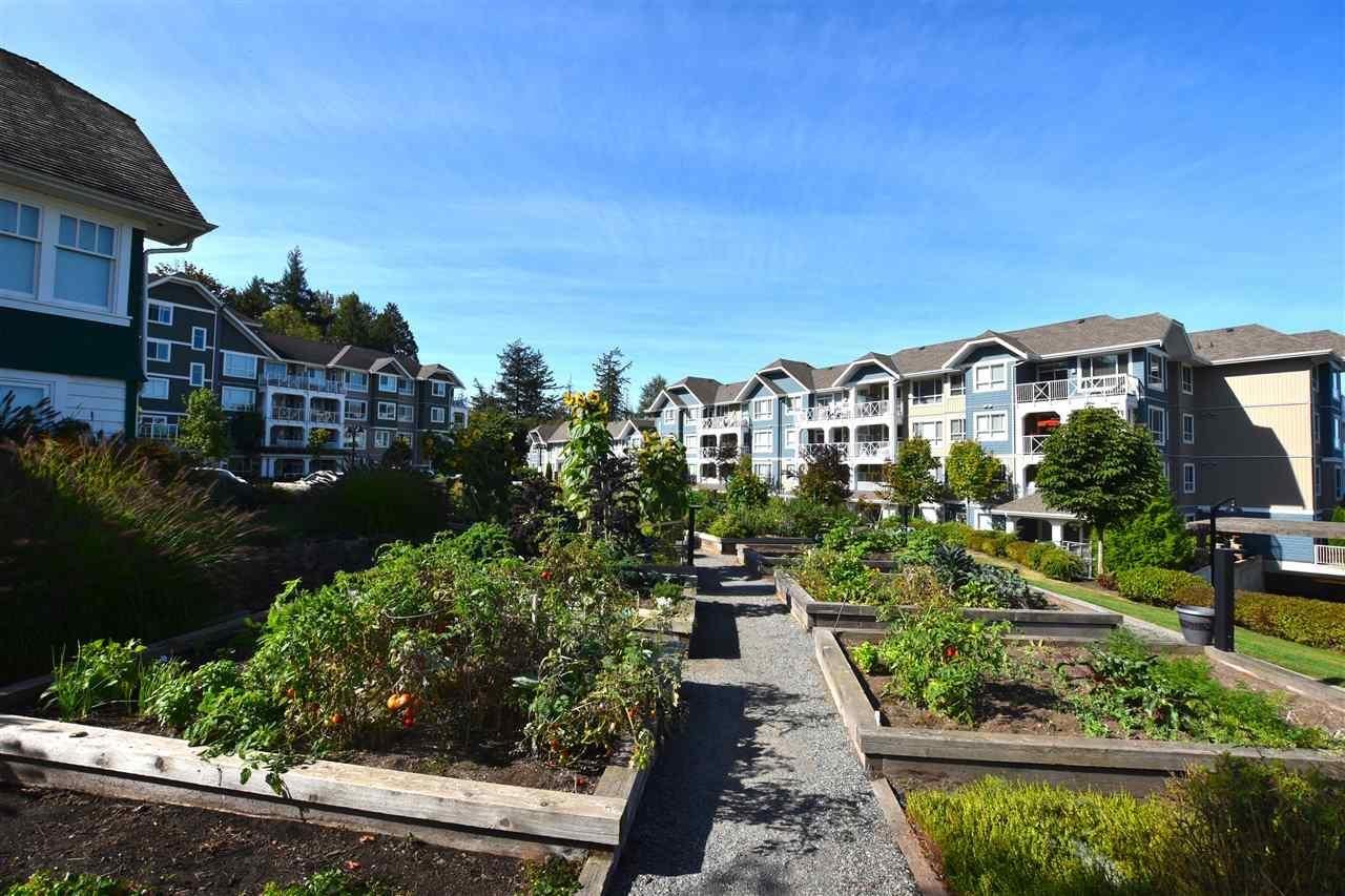 307 16380 64 Avenue, Surrey, British Columbia  V3S 6X6 - Photo 16 - R2976600
