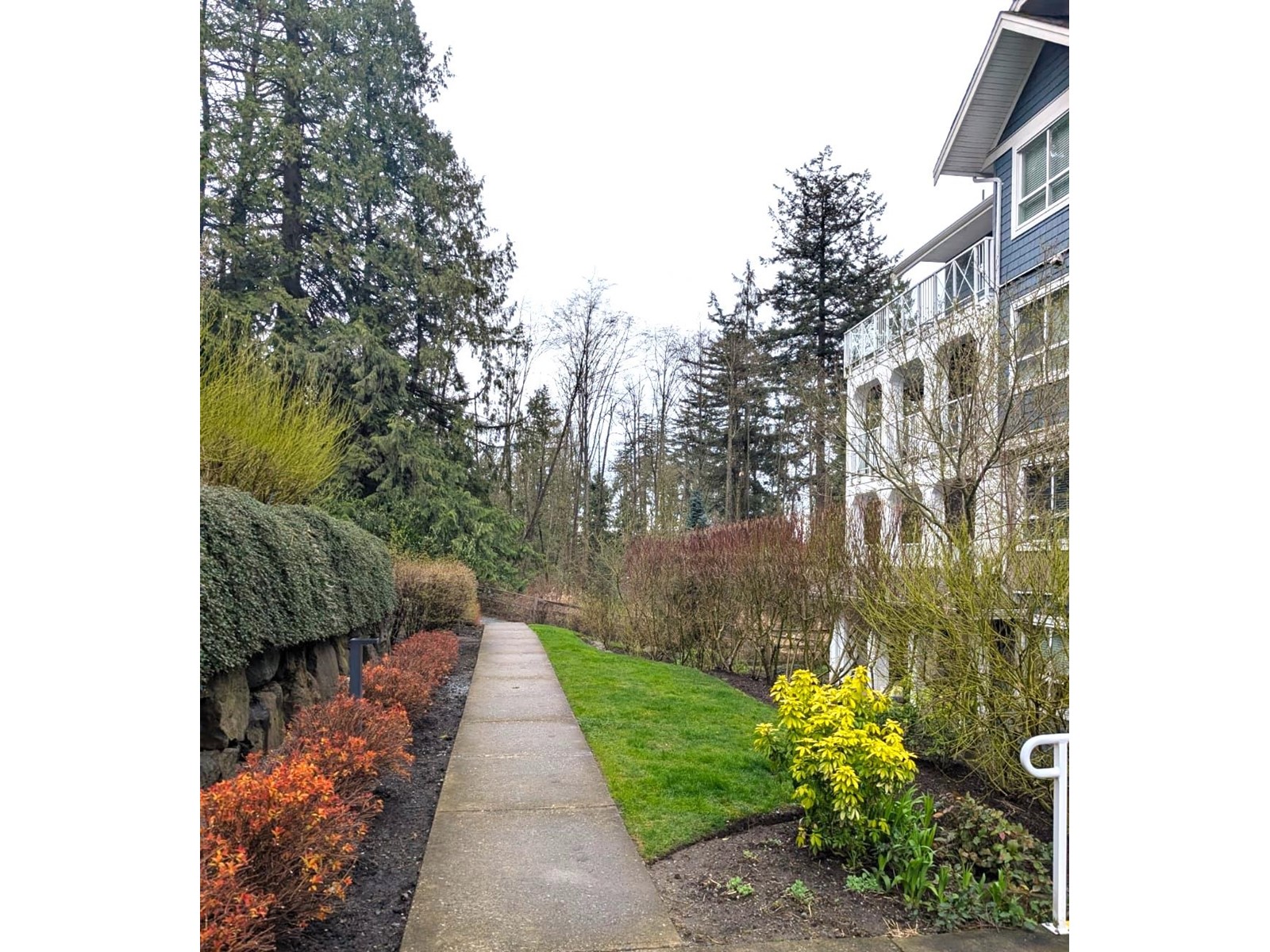 307 16380 64 Avenue, Surrey, British Columbia  V3S 6X6 - Photo 26 - R2976600