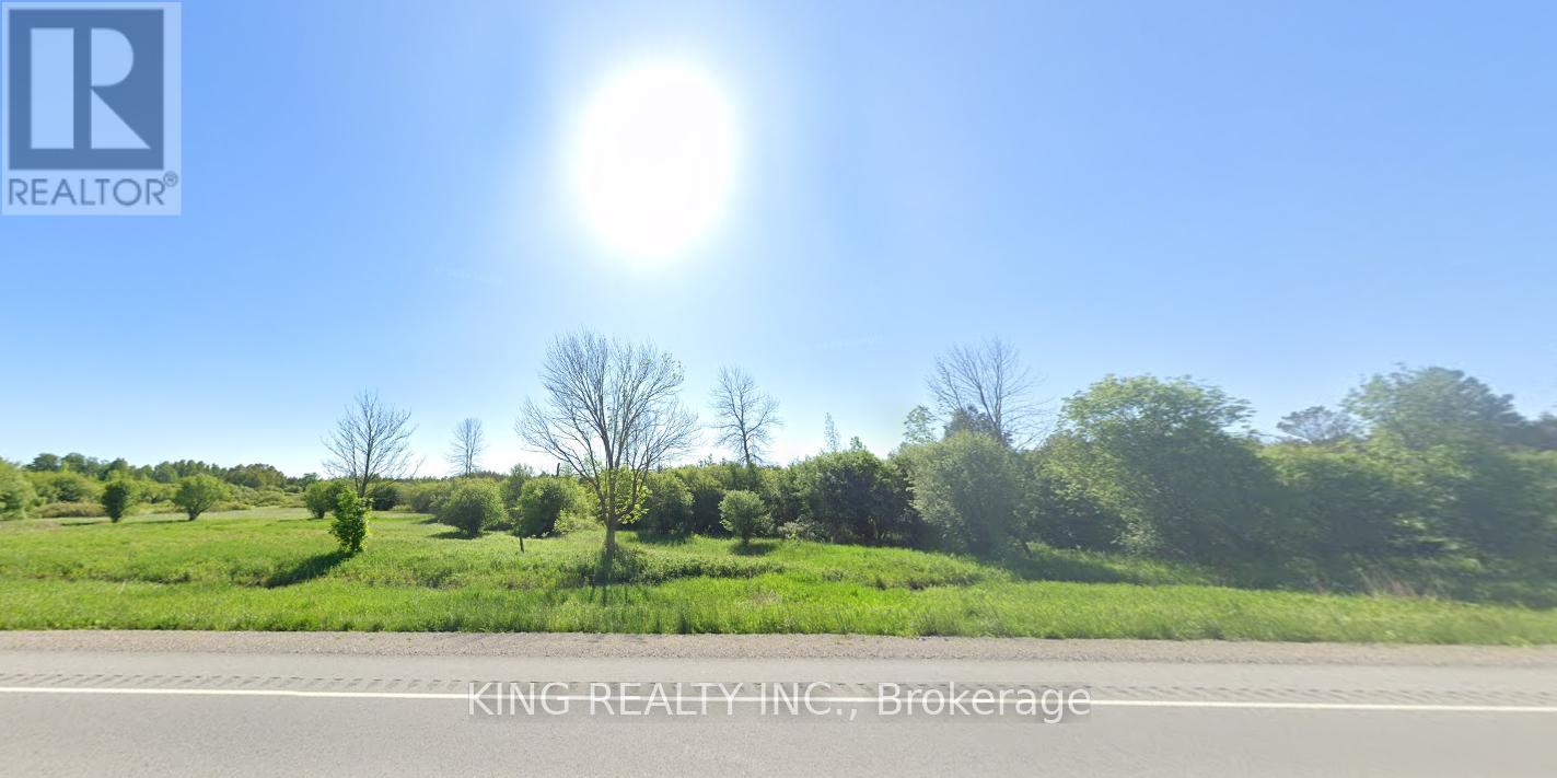 LOT 25 CON 3 PT, LAKE RIDGE ROAD, Georgina, Ontario