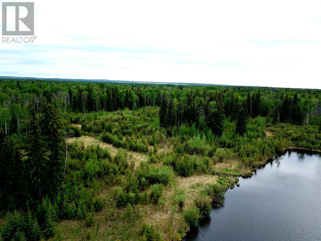 Nw-19-81-9-W6 Highway 681, Rural Saddle Hills County, Alberta  T0H 3V0 - Photo 1 - A2208104
