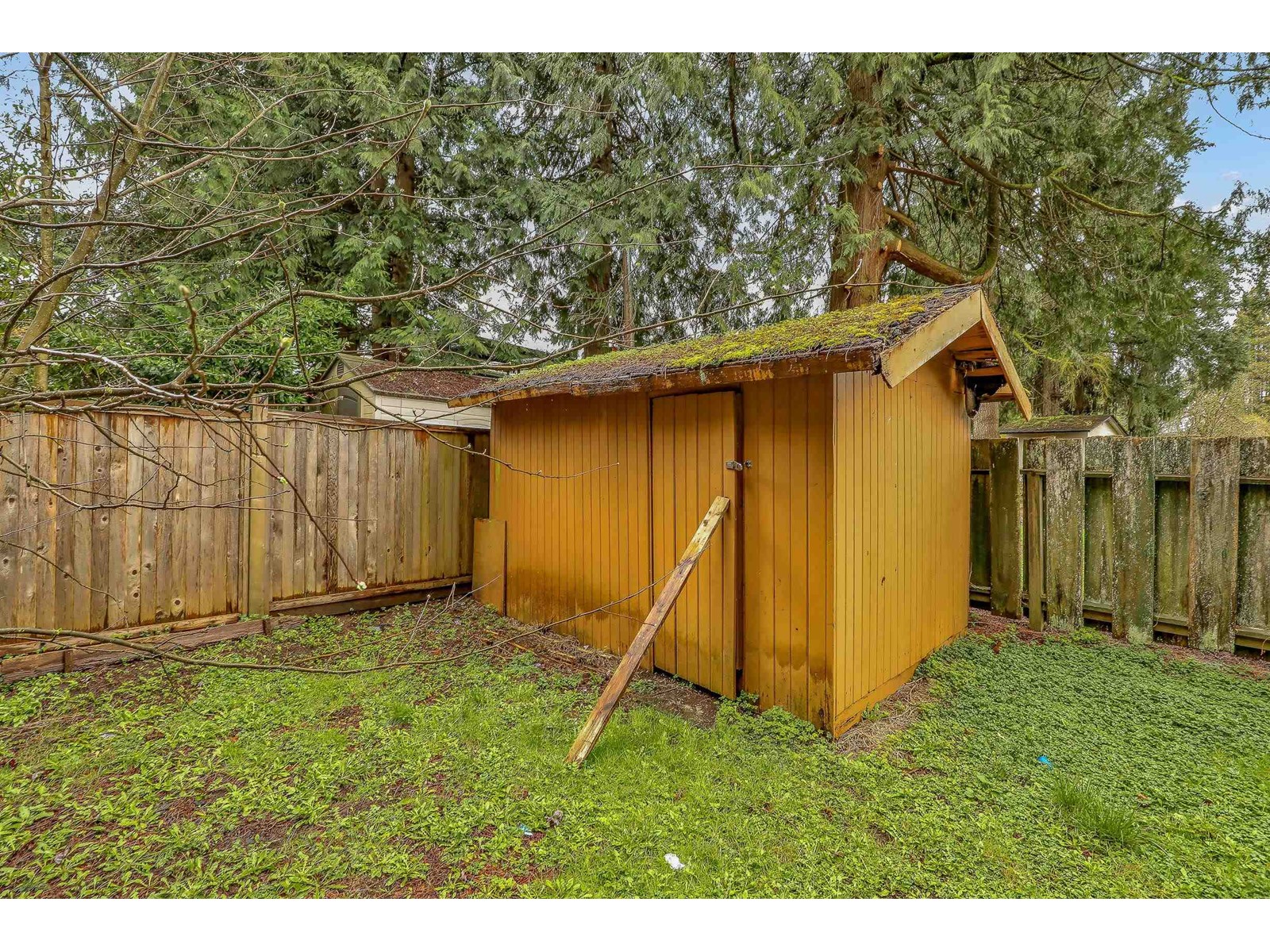 14931 Kew Drive, Surrey, British Columbia  V3R 4Y1 - Photo 34 - R2982087