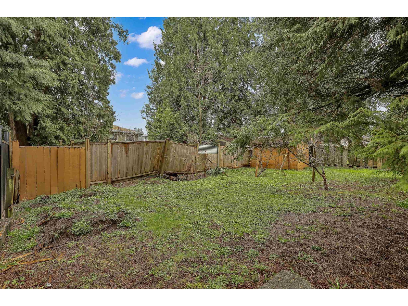 14931 Kew Drive, Surrey, British Columbia  V3R 4Y1 - Photo 32 - R2982087