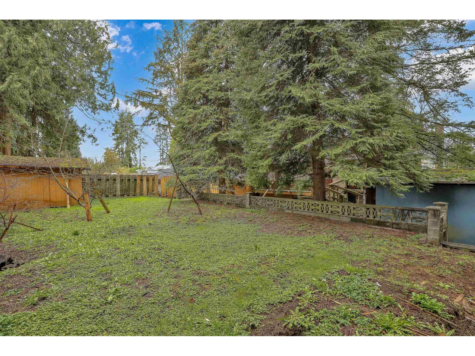 14931 Kew Drive, Surrey, British Columbia  V3R 4Y1 - Photo 33 - R2982087