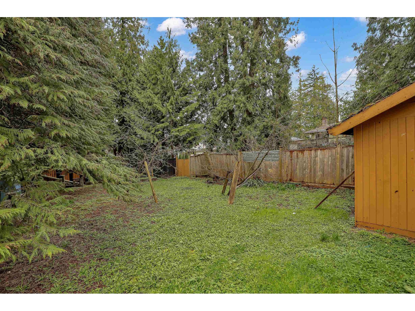 14931 Kew Drive, Surrey, British Columbia  V3R 4Y1 - Photo 36 - R2982087
