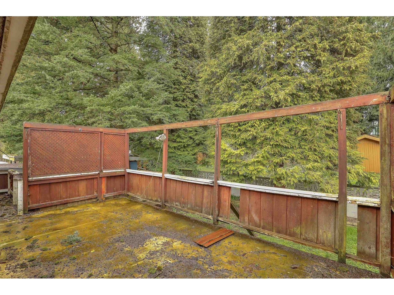 14931 Kew Drive, Surrey, British Columbia  V3R 4Y1 - Photo 29 - R2982087