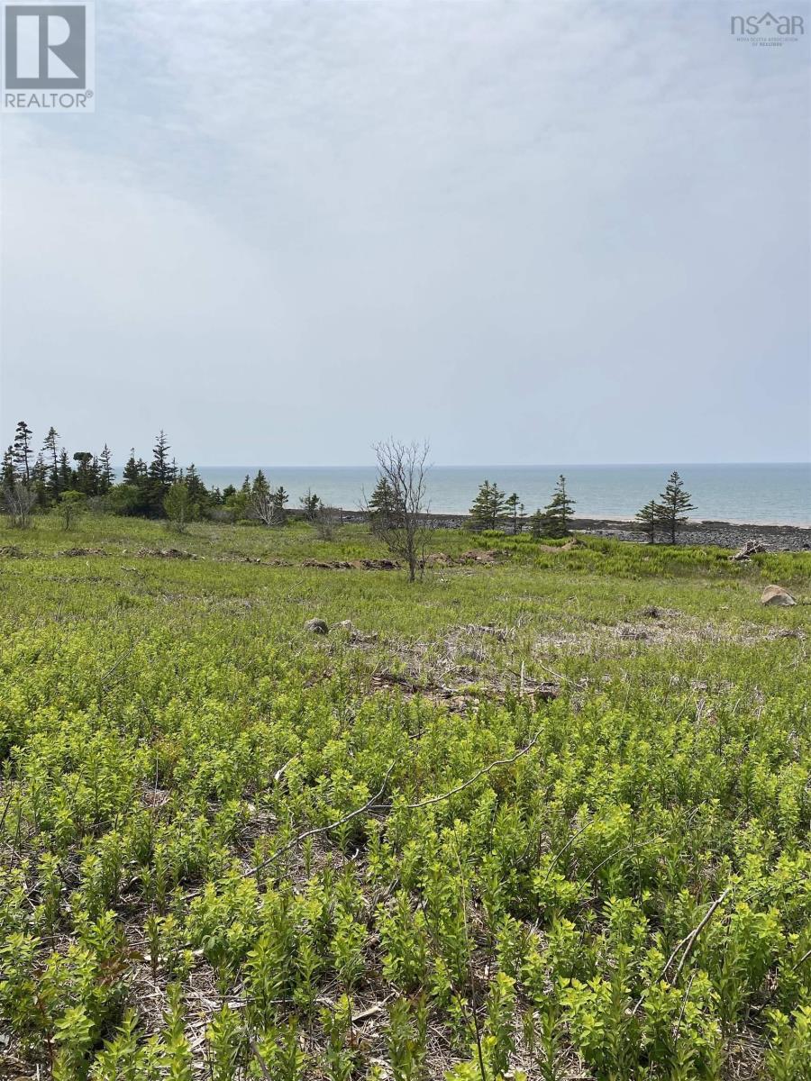 Lot 7 Shore Road West Road, Phinneys Cove, Nova Scotia  B0S 1L0 - Photo 6 - 202506779