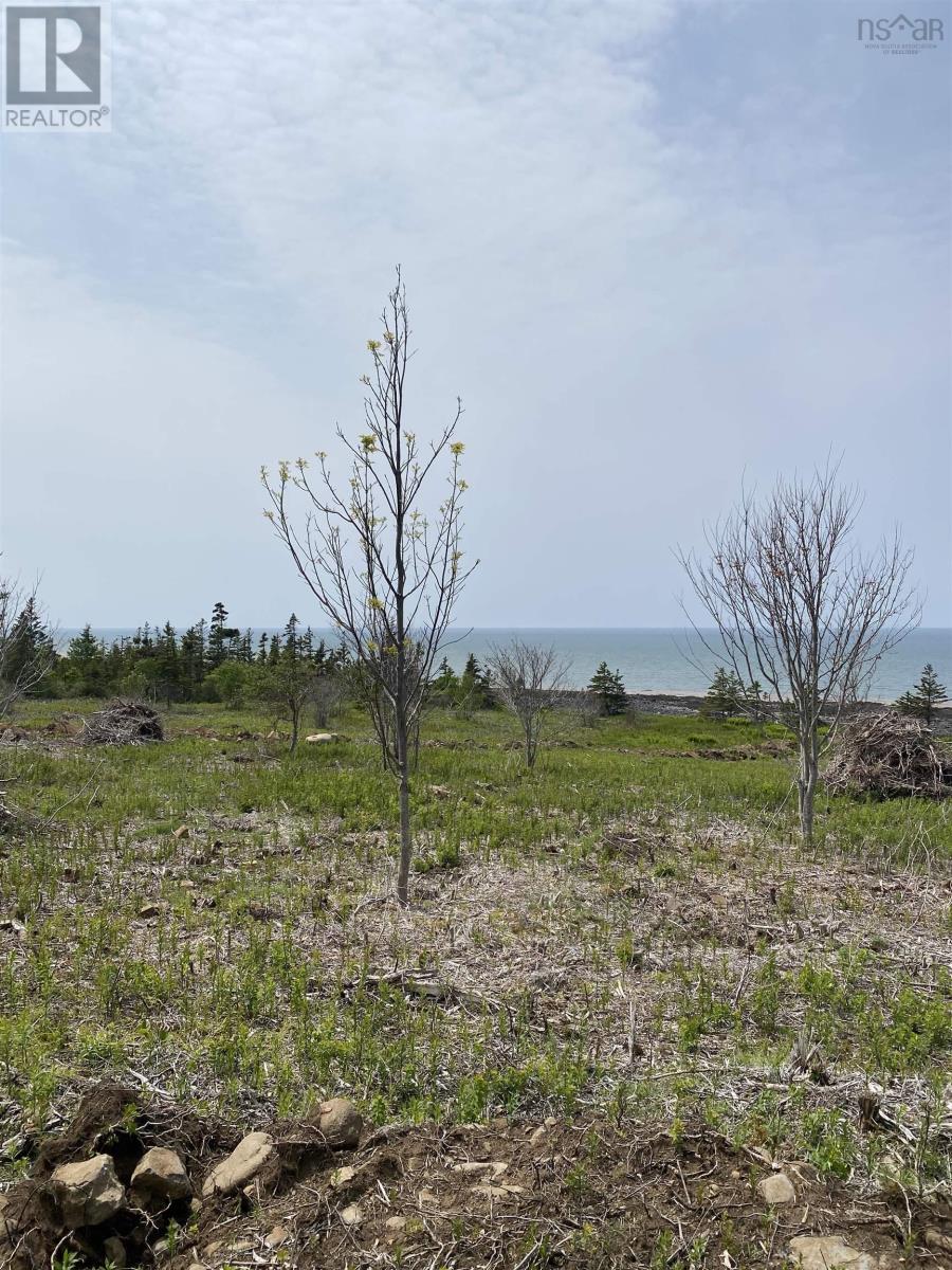Lot 7 Shore Road West Road, Phinneys Cove, Nova Scotia  B0S 1L0 - Photo 7 - 202506779