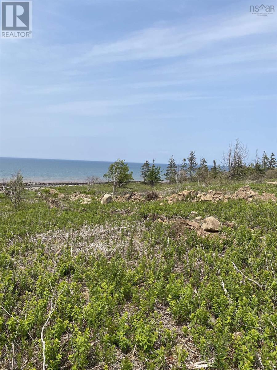 Lot 7 Shore Road West Road, Phinneys Cove, Nova Scotia  B0S 1L0 - Photo 8 - 202506779