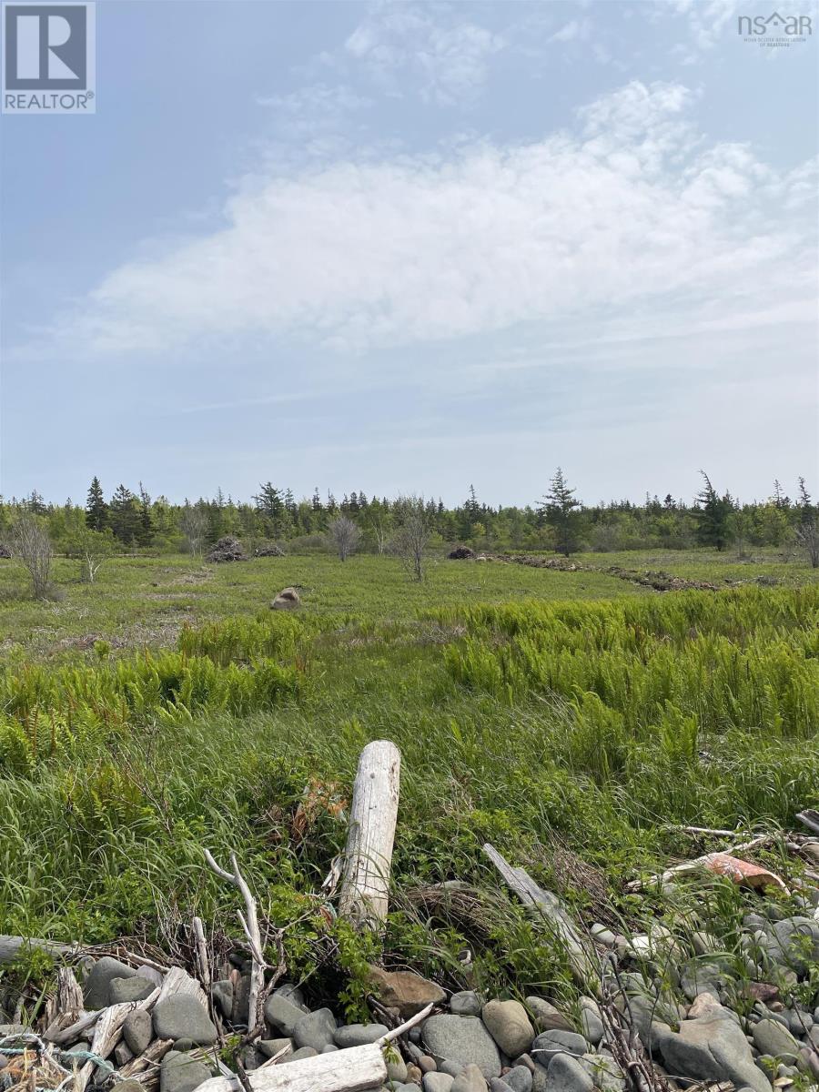 Lot 7 Shore Road West Road, Phinneys Cove, Nova Scotia  B0S 1L0 - Photo 9 - 202506779