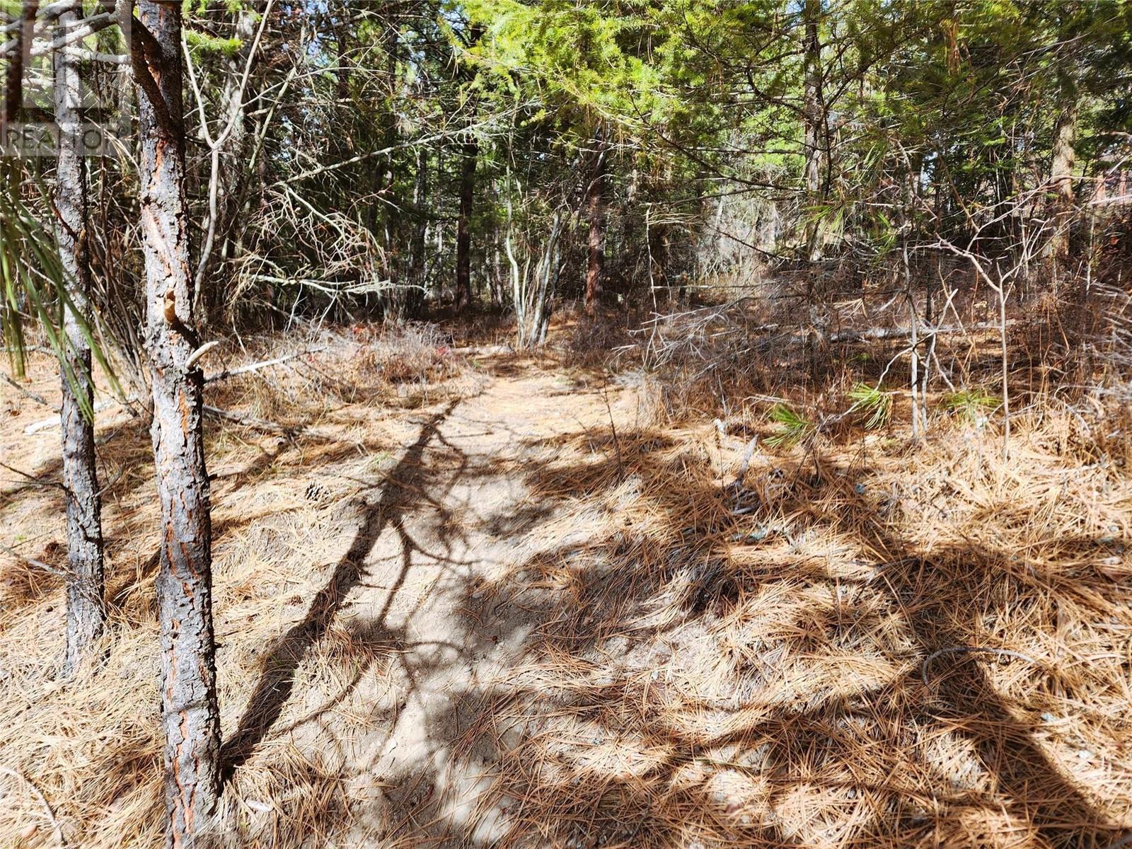 10742 Pinecrest Road Lot# 85, Vernon, British Columbia  V1T 7Z3 - Photo 2 - 10341890