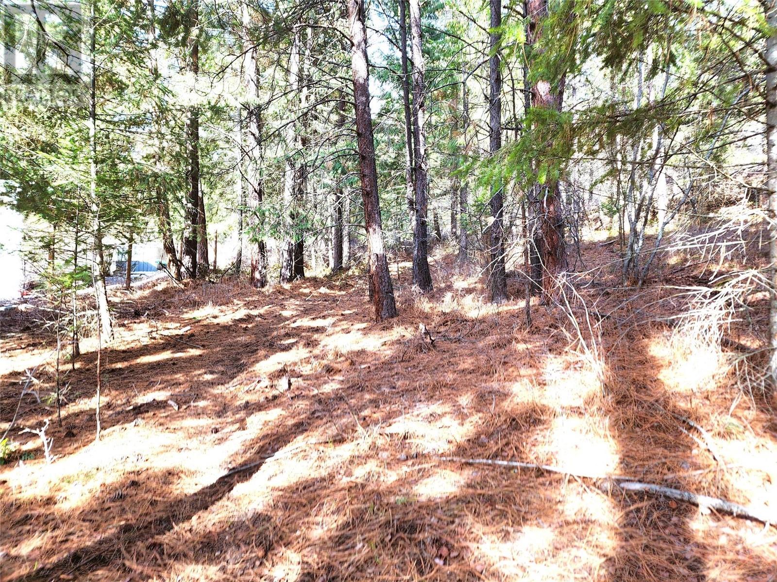 10742 Pinecrest Road Lot# 85, Vernon, British Columbia  V1T 7Z3 - Photo 6 - 10341890