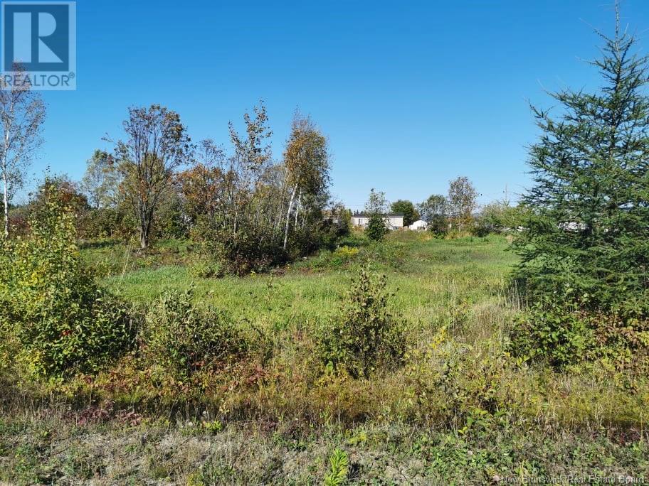 Lot 13 Des Freres Street, Charlo, New Brunswick  E8E 0B7 - Photo 2 - NB115567