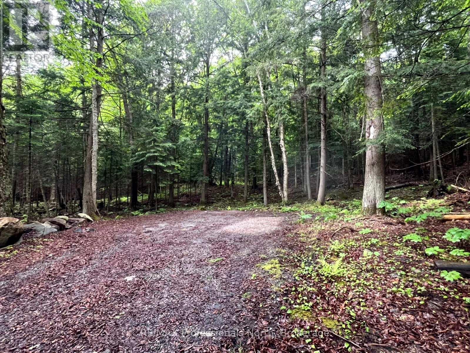 TBD COUNTY 21 ROAD, Minden Hills, Ontario