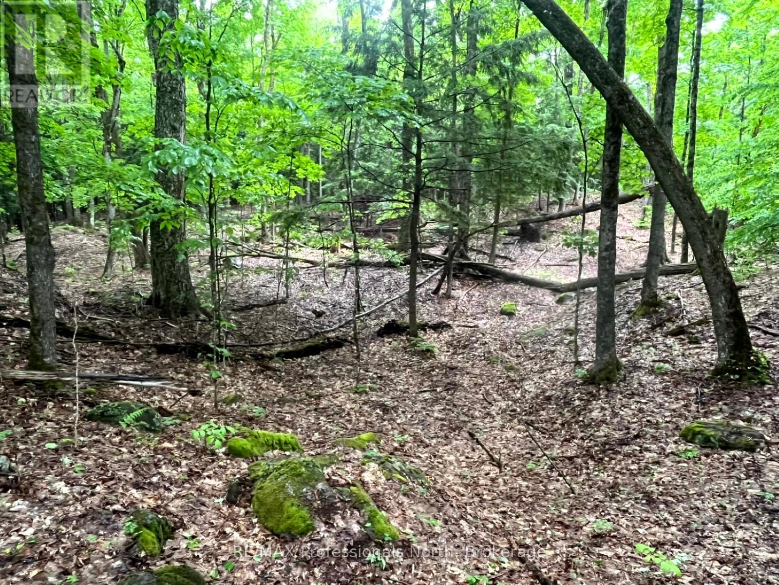 Tbd County 21 Road, Minden Hills, Ontario  K0M 2K0 - Photo 11 - X12061540