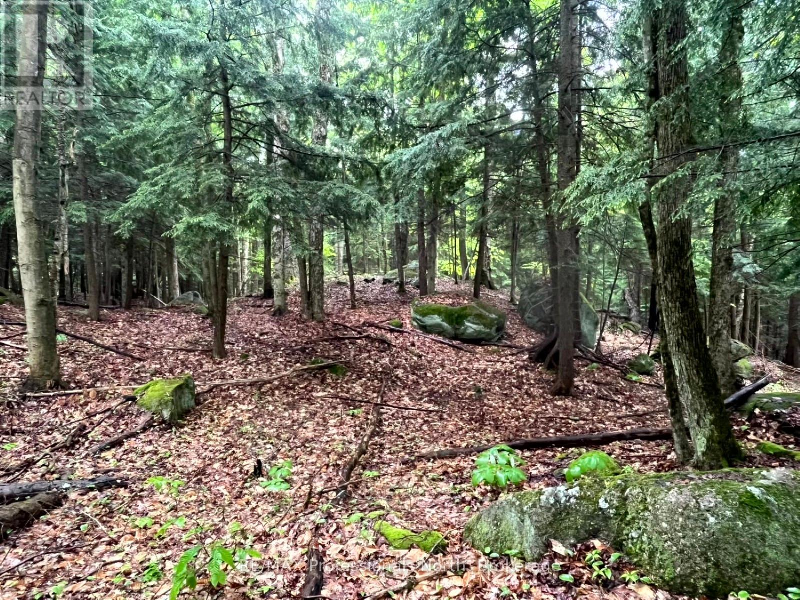 Tbd County 21 Road, Minden Hills, Ontario  K0M 2K0 - Photo 13 - X12061540