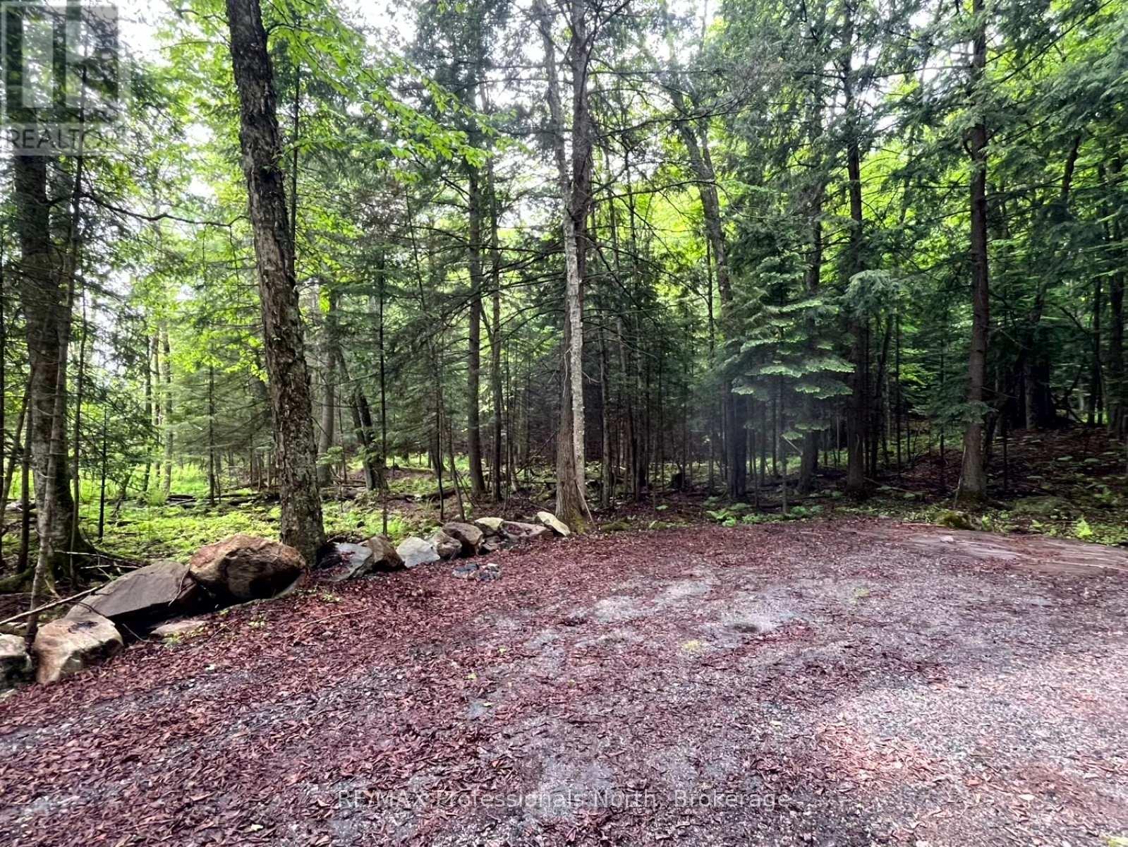 Tbd County 21 Road, Minden Hills, Ontario  K0M 2K0 - Photo 2 - X12061540