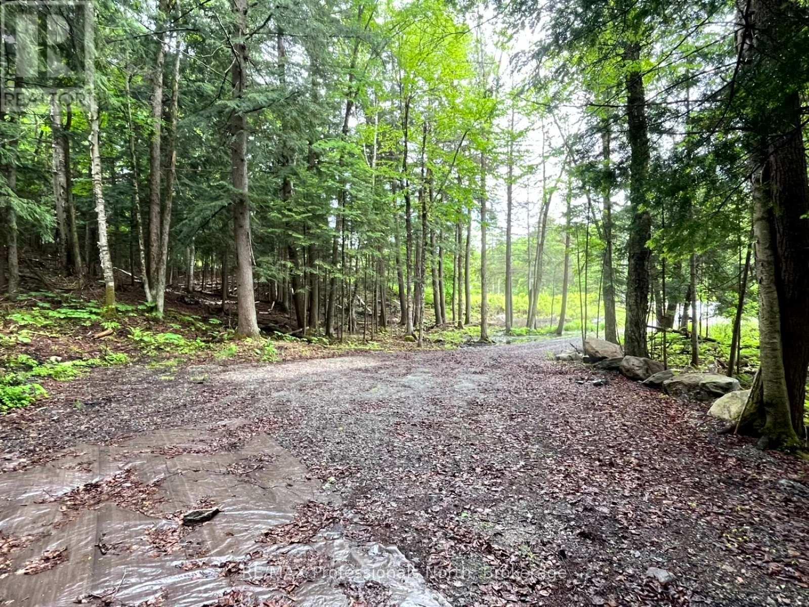 Tbd County 21 Road, Minden Hills, Ontario  K0M 2K0 - Photo 4 - X12061540