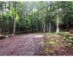 TBD COUNTY 21 ROAD, minden hills (minden), Ontario
