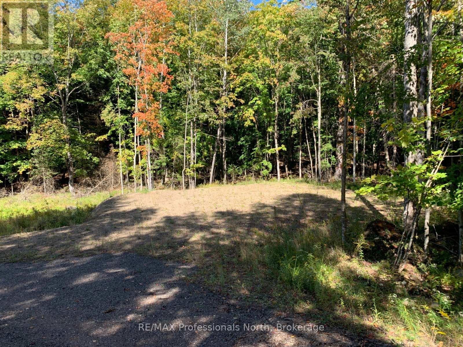 Tbd Lakeview Street, Dysart Et Al, Ontario  K0M 1S0 - Photo 10 - X12061553