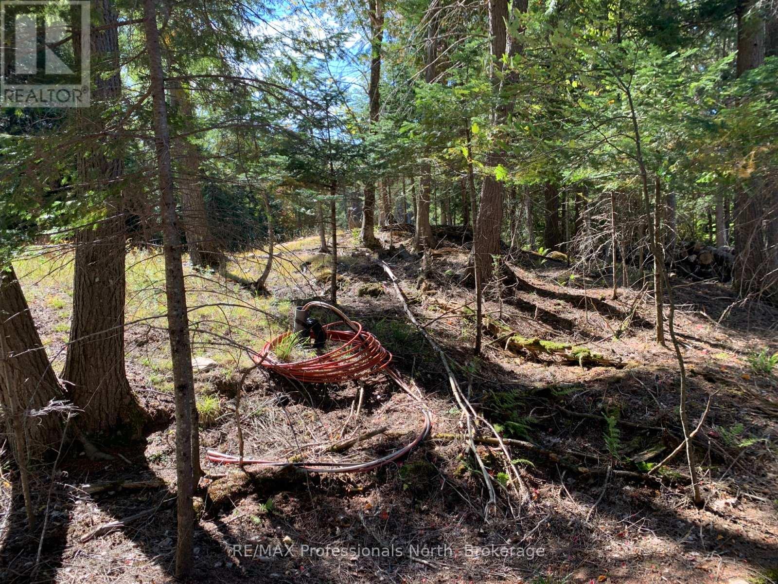 Tbd Lakeview Street, Dysart Et Al, Ontario  K0M 1S0 - Photo 11 - X12061553