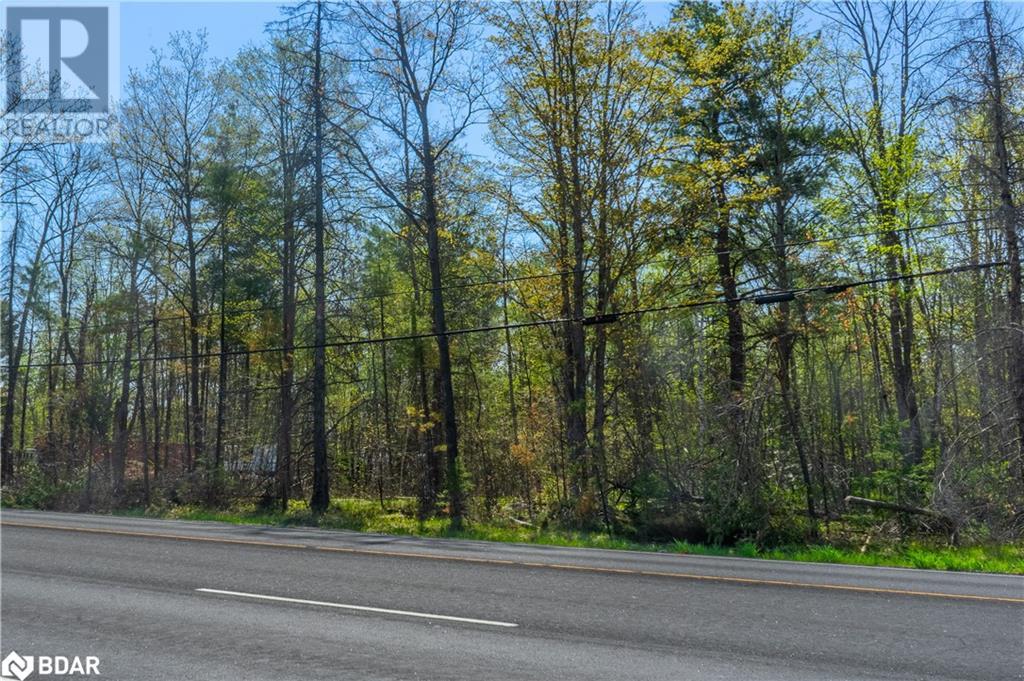 00 Highway #7 S/s Highway, Marmora, Ontario  K0K 2M0 - Photo 2 - 40707027