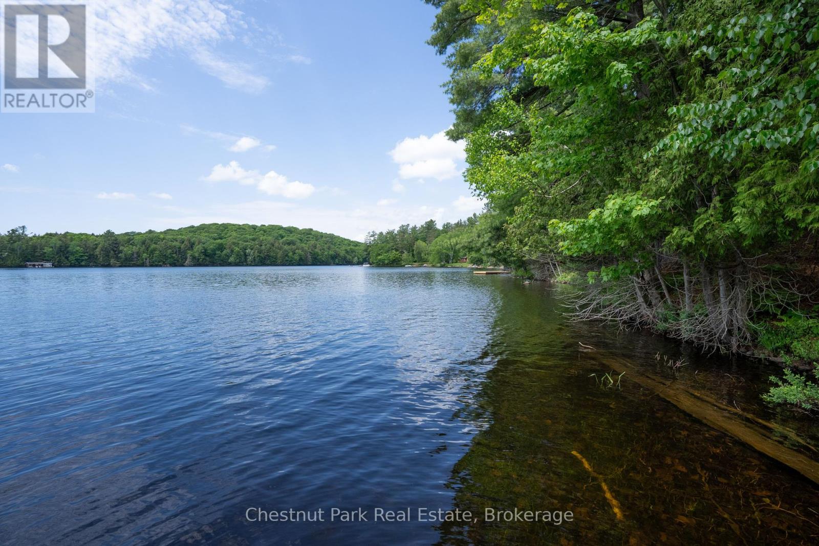 652 North Waseosa Lake Road, Huntsville, Ontario  P1H 2J4 - Photo 40 - X12030812