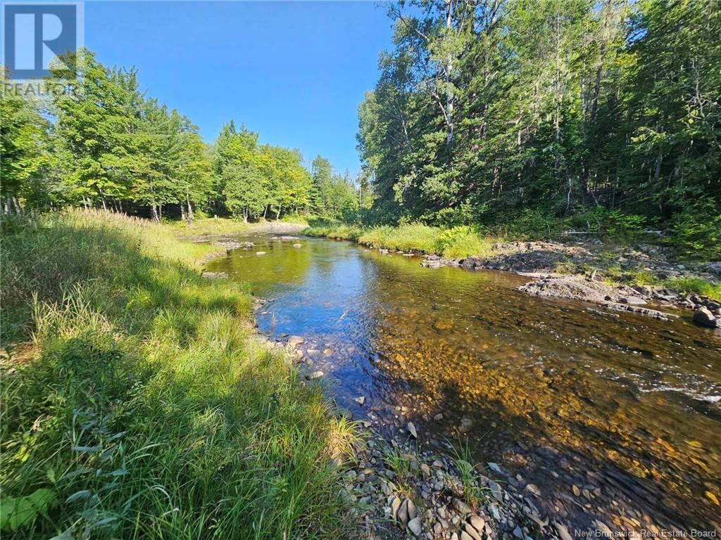 25 Theriault Road, Middle River, New Brunswick  E2A 6Y7 - Photo 10 - NB115597