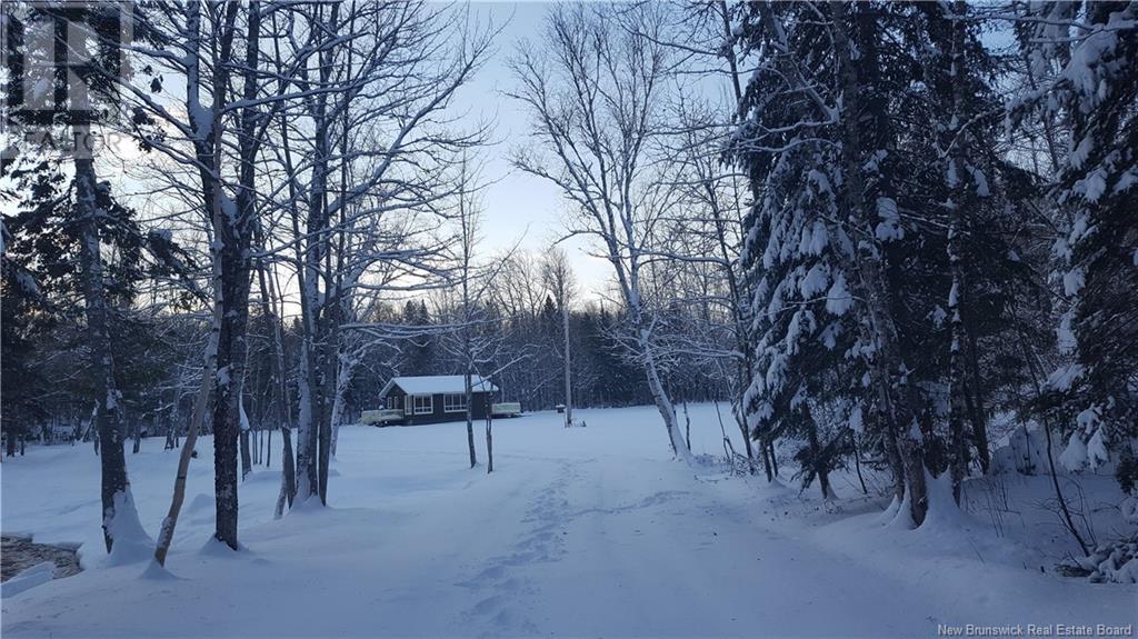 25 Theriault Road, Middle River, New Brunswick  E2A 6Y7 - Photo 22 - NB115597