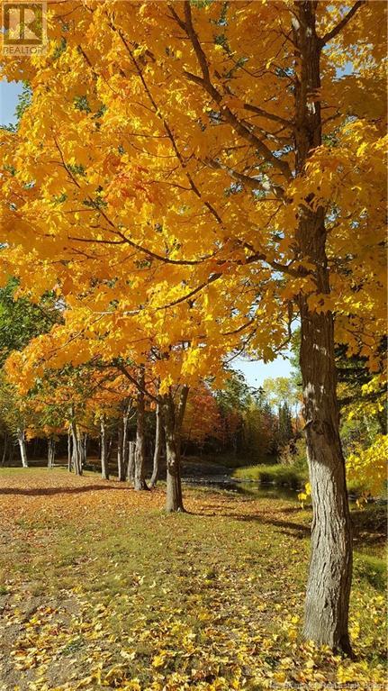 25 Theriault Road, Middle River, New Brunswick  E2A 6Y7 - Photo 24 - NB115597