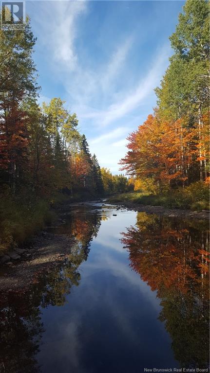 25 Theriault Road, Middle River, New Brunswick  E2A 6Y7 - Photo 25 - NB115597