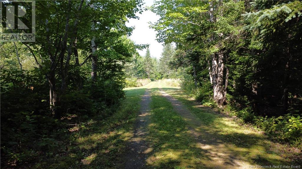 25 Theriault Road, Middle River, New Brunswick  E2A 6Y7 - Photo 6 - NB115597