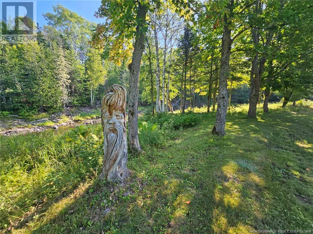 25 Theriault Road, Middle River, New Brunswick  E2A 6Y7 - Photo 9 - NB115597