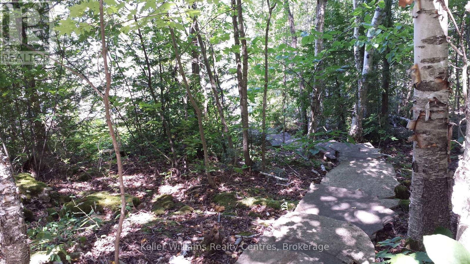 158 Tammy's Cove Road, Northern Bruce Peninsula, Ontario  N0H 1W0 - Photo 10 - X12024033