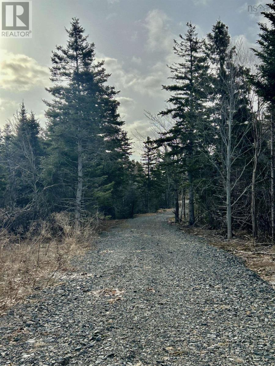 Lot 1 Broad Cove Banks Road, Inverness, Nova Scotia  B0E 1N0 - Photo 3 - 202506862