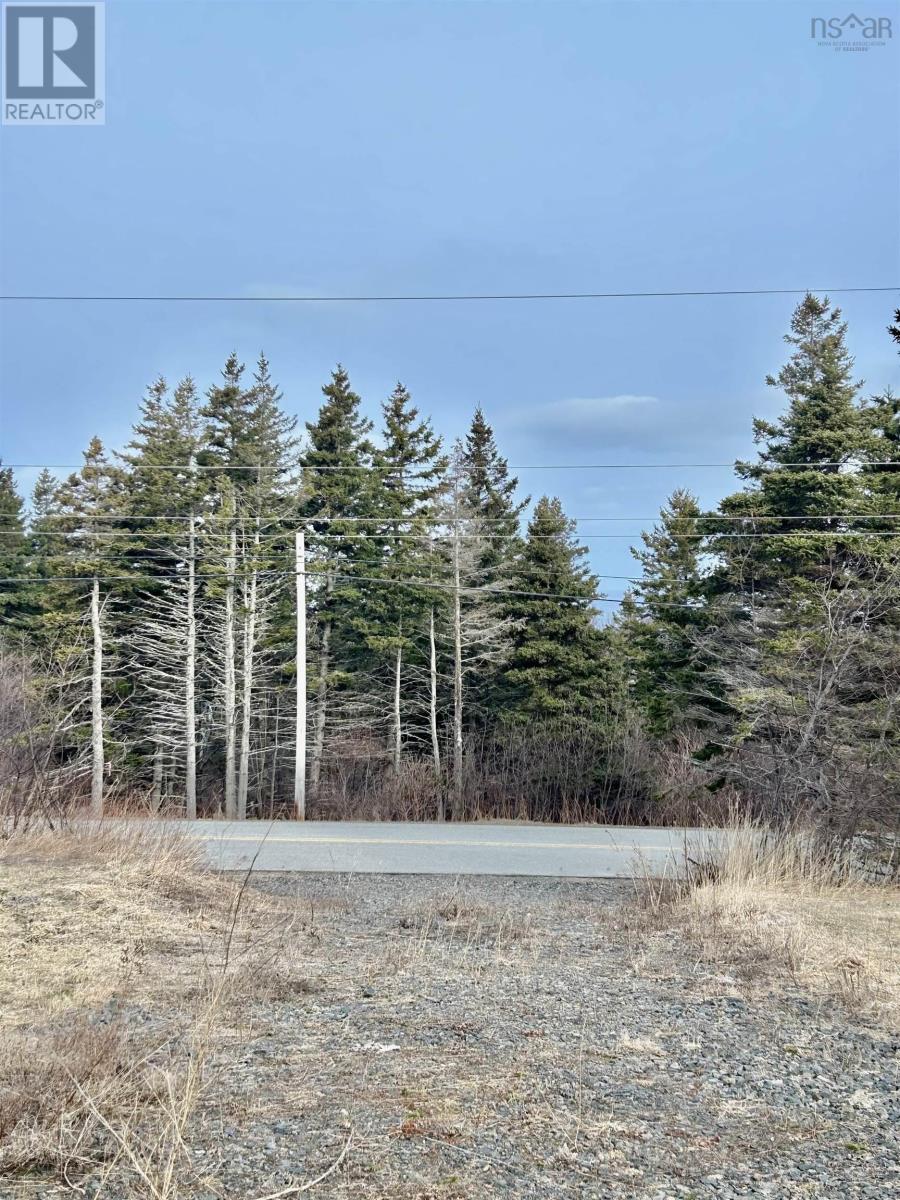 Lot 1 Broad Cove Banks Road, Inverness, Nova Scotia  B0E 1N0 - Photo 6 - 202506862