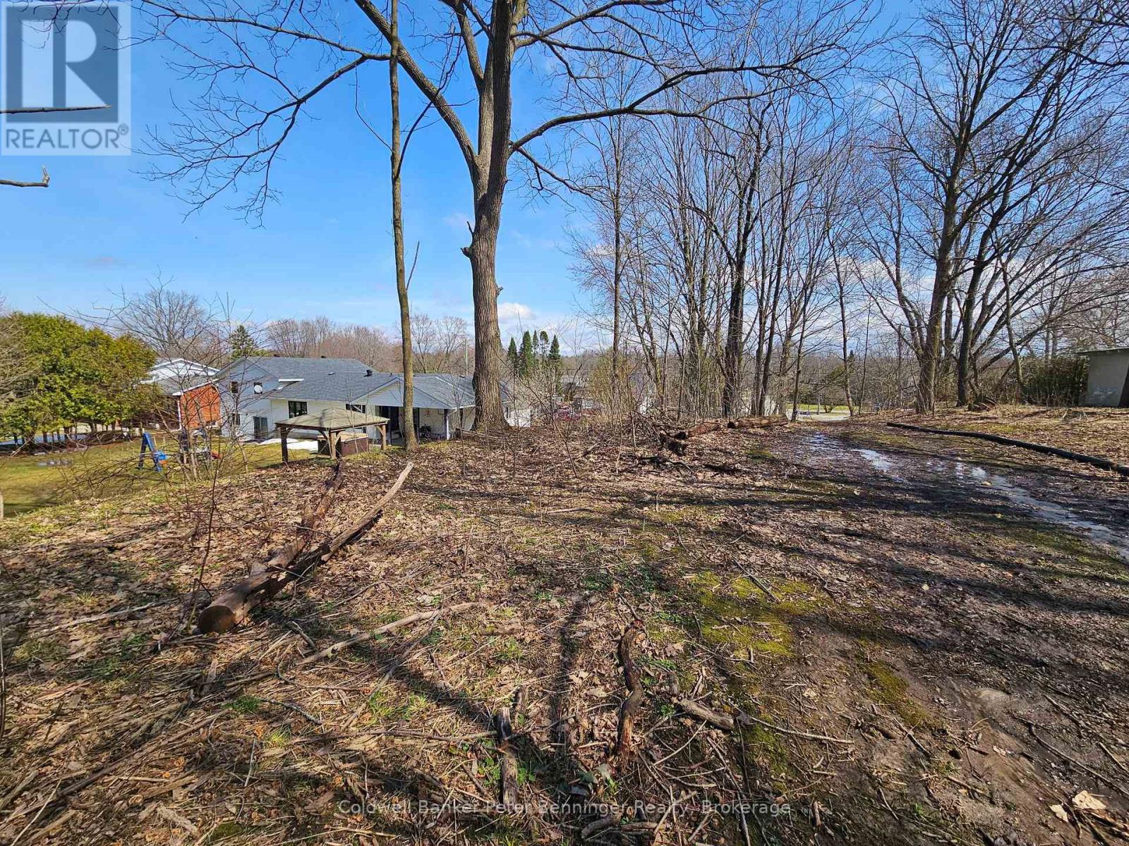 Pt 3 James Street S, Arran-Elderslie, Ontario  N0G 2N0 - Photo 10 - X12062386