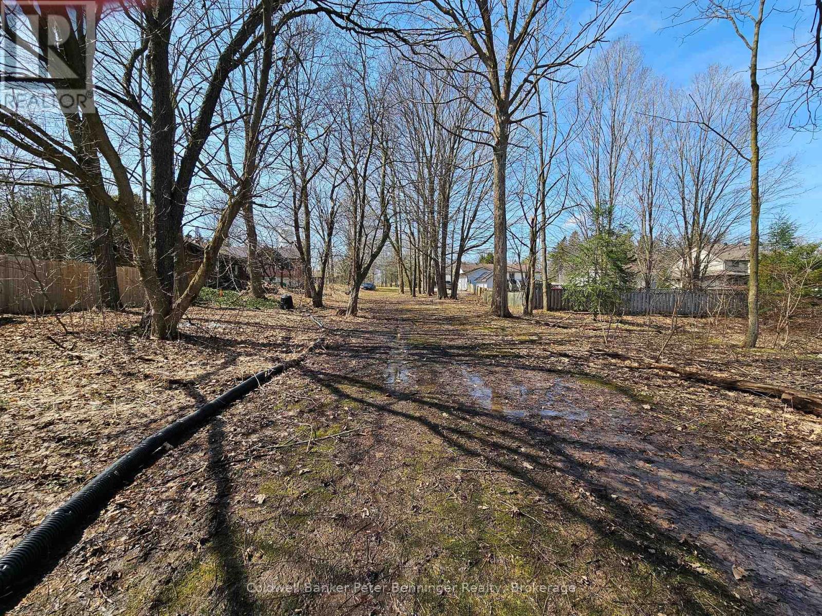 Pt 3 James Street S, Arran-Elderslie, Ontario  N0G 2N0 - Photo 2 - X12062386