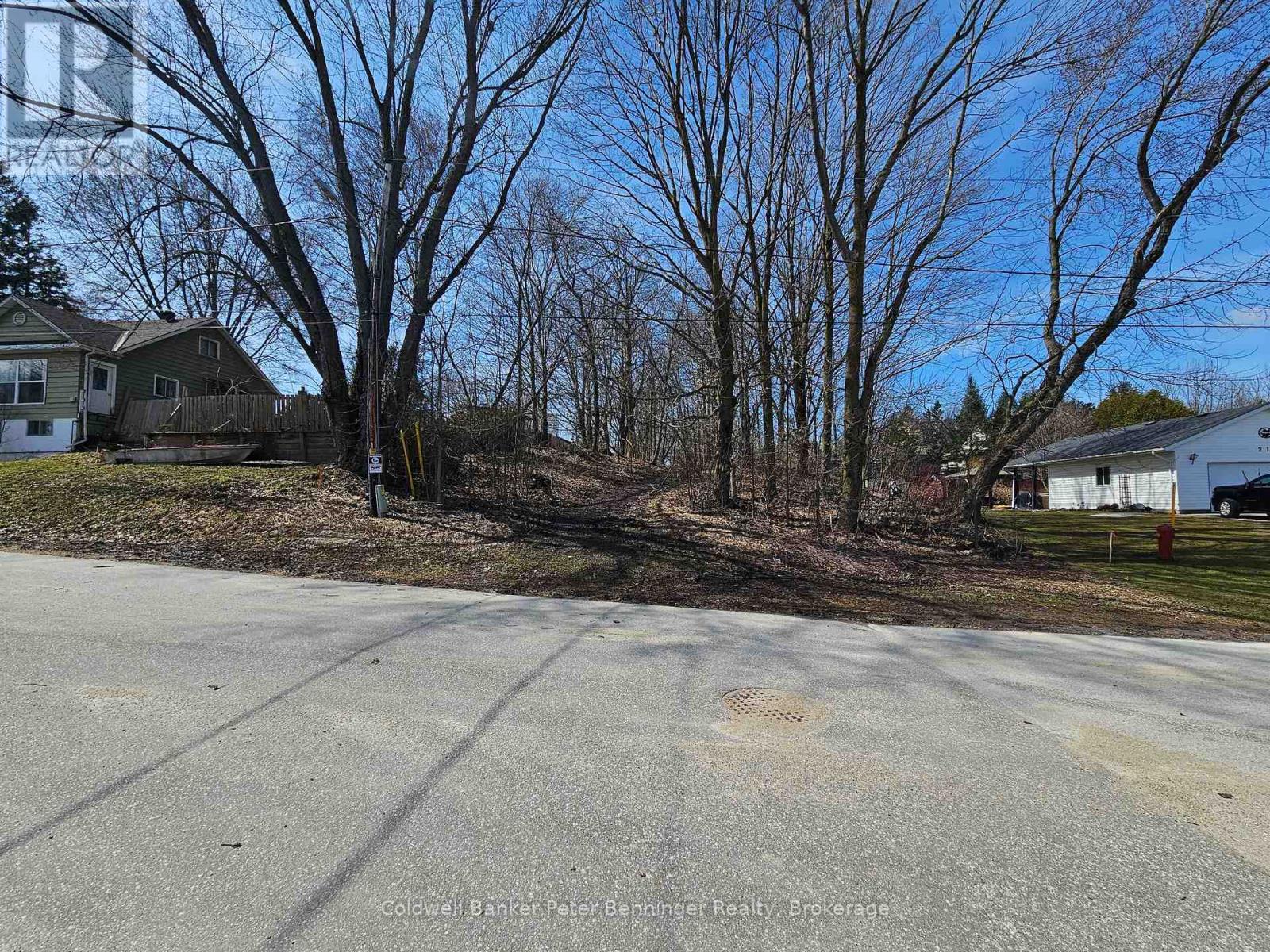 Pt 3 James Street S, Arran-Elderslie, Ontario  N0G 2N0 - Photo 3 - X12062386
