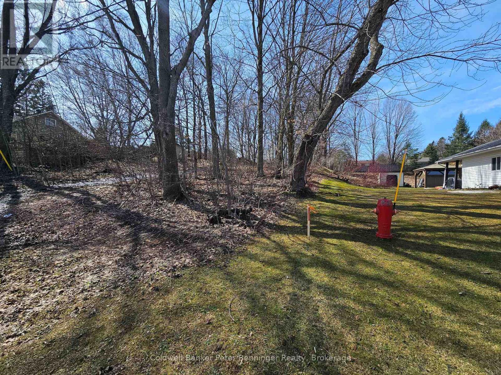 Pt 3 James Street S, Arran-Elderslie, Ontario  N0G 2N0 - Photo 4 - X12062386