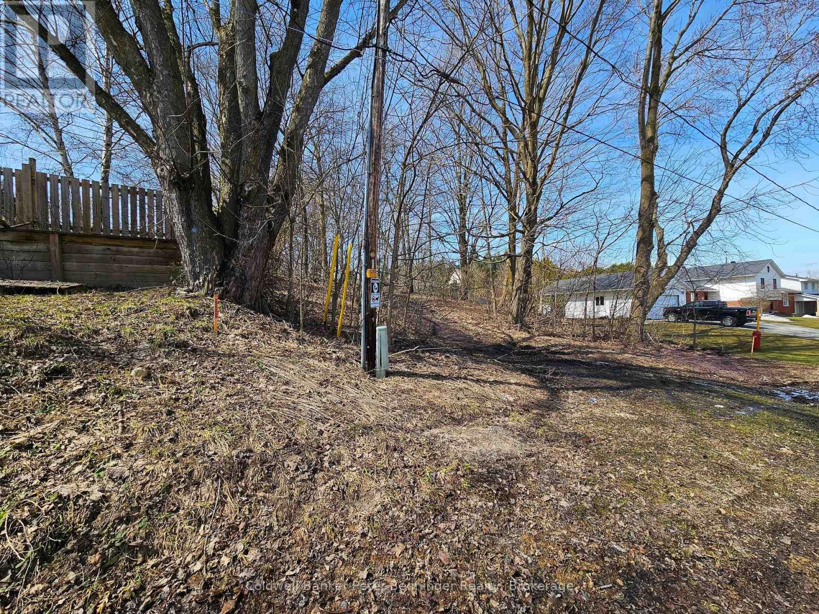 Pt 3 James Street S, Arran-Elderslie, Ontario  N0G 2N0 - Photo 5 - X12062386