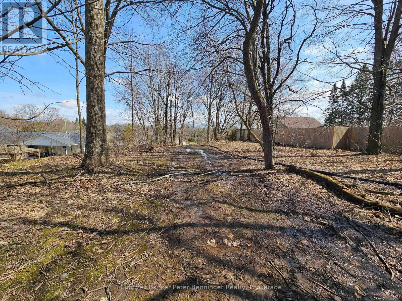Pt 3 James Street S, Arran-Elderslie, Ontario  N0G 2N0 - Photo 8 - X12062386