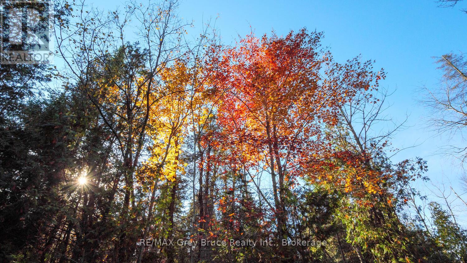 Part Lot 37 Con D Sauble Falls Parkway, South Bruce Peninsula, Ontario  N0H 2G0 - Photo 11 - X12062389