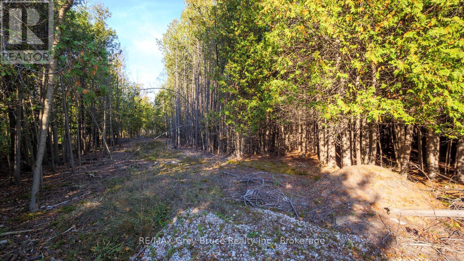 Part Lot 37 Con D Sauble Falls Parkway, South Bruce Peninsula, Ontario  N0H 2G0 - Photo 14 - X12062389