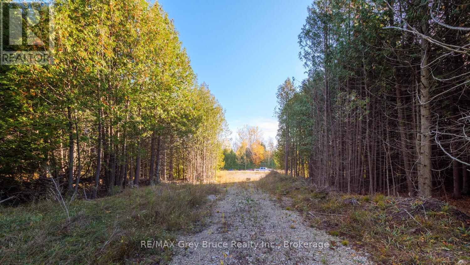 Part Lot 37 Con D Sauble Falls Parkway, South Bruce Peninsula, Ontario  N0H 2G0 - Photo 15 - X12062389