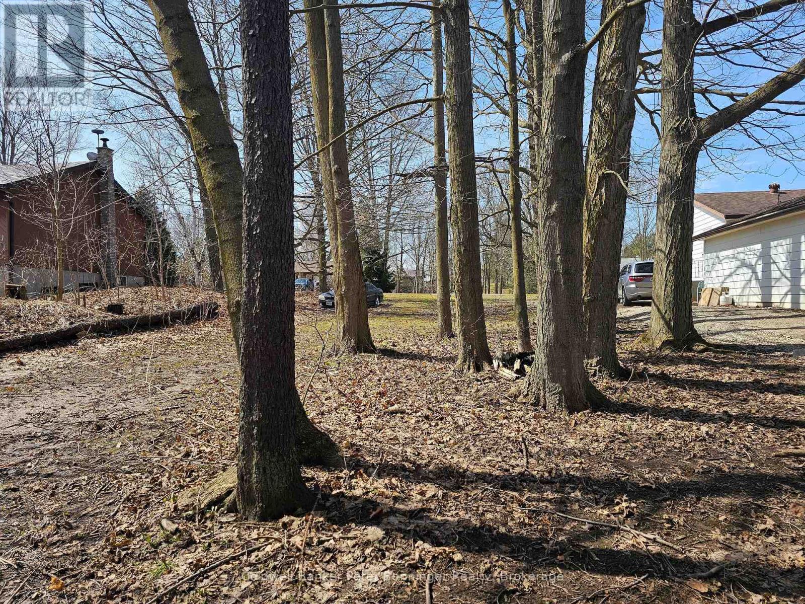 Pt 2 George Street S, Arran-Elderslie, Ontario  N0G 2N0 - Photo 3 - X12062491