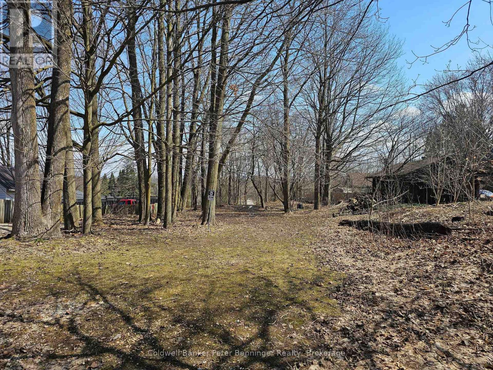 Pt 2 George Street S, Arran-Elderslie, Ontario  N0G 2N0 - Photo 5 - X12062491