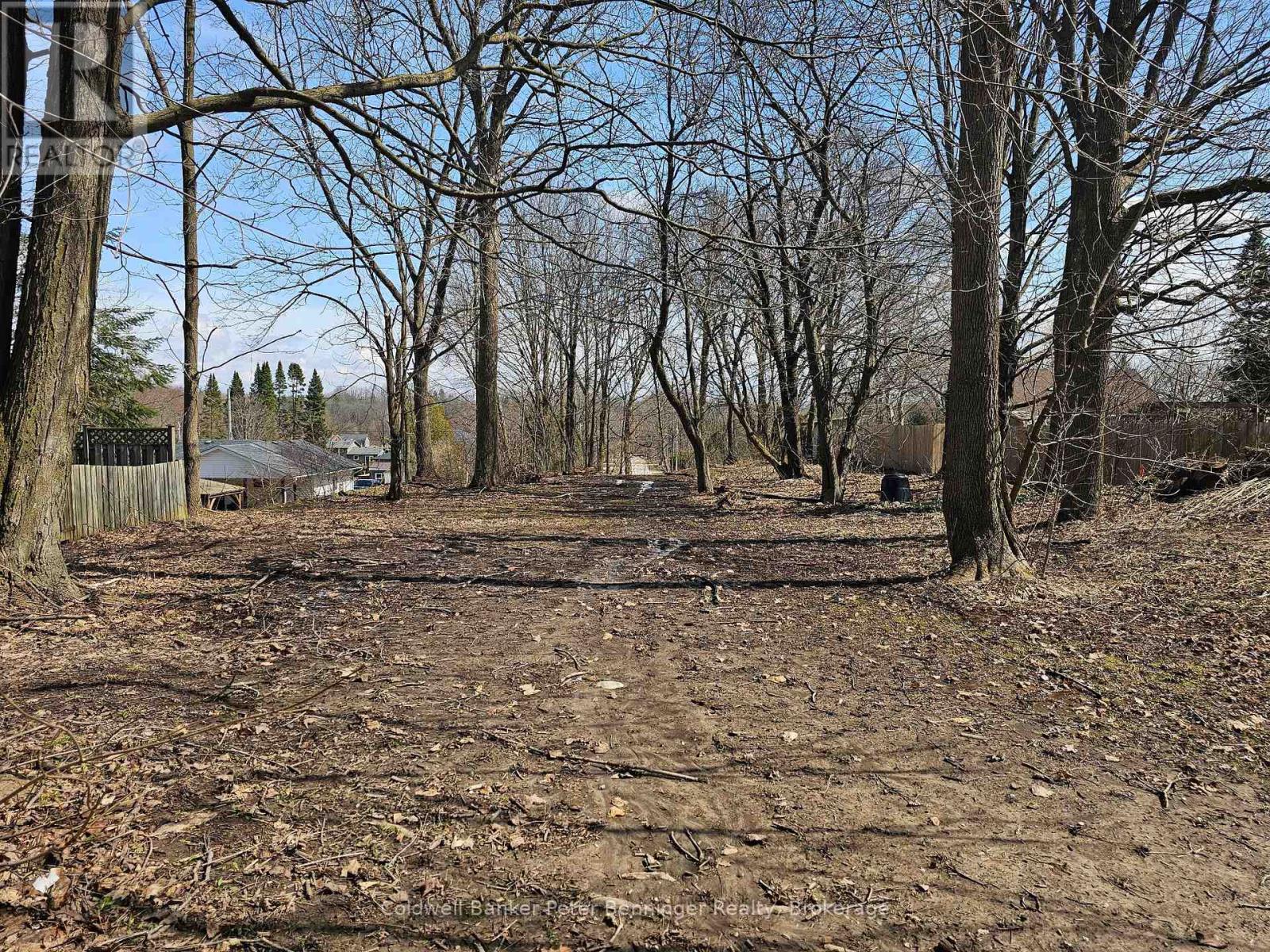 Pt 2 George Street S, Arran-Elderslie, Ontario  N0G 2N0 - Photo 7 - X12062491