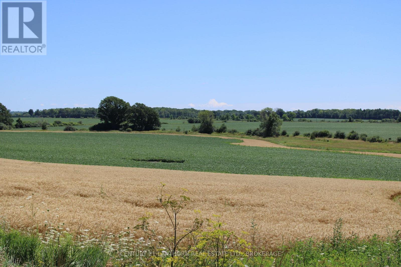 Lt15-16 County Road 1 W, Greater Napanee, Ontario  K7R 3L1 - Photo 3 - X12062611