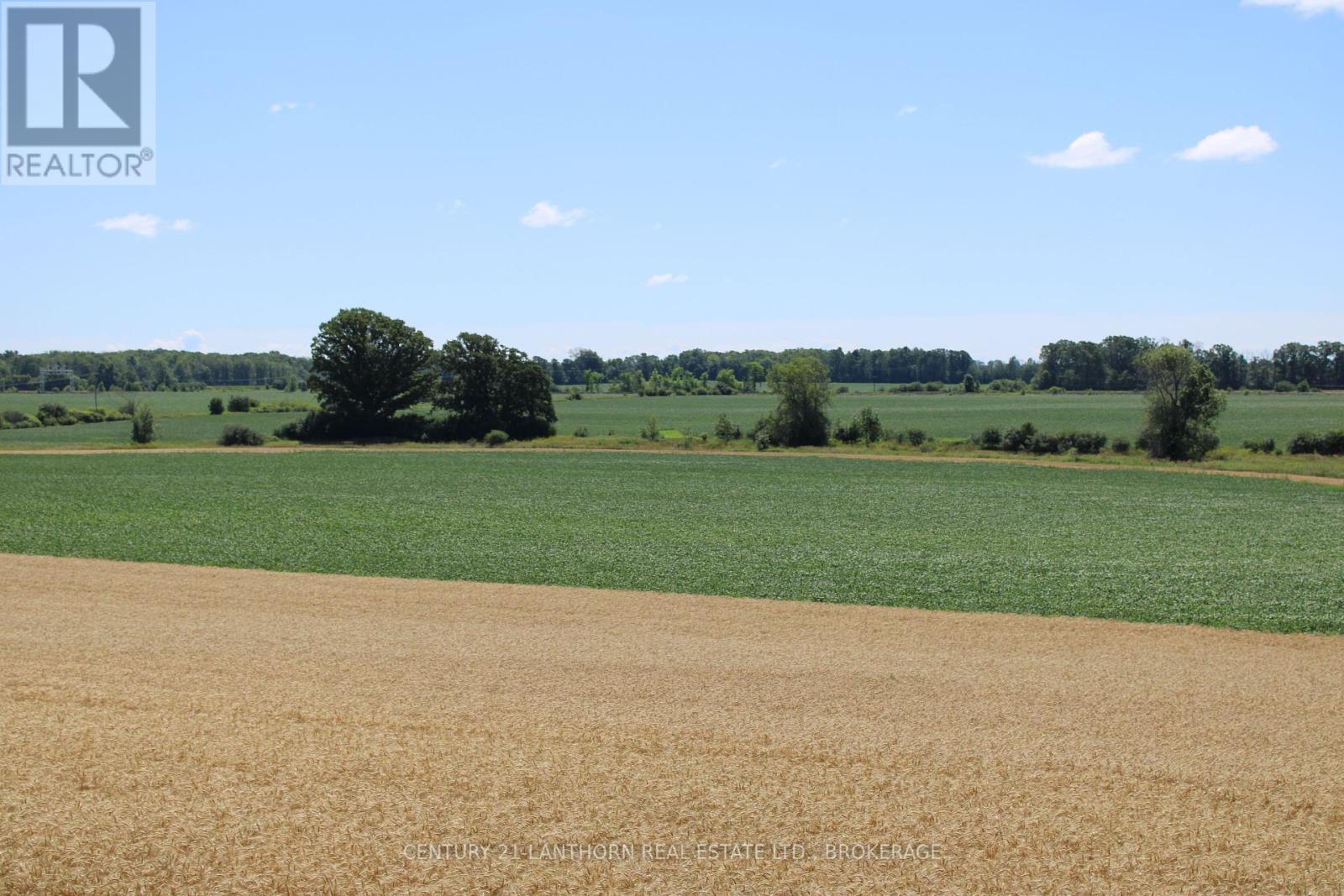Lt15-16 County 1 Road W, Greater Napanee (Greater Napanee), Ontario  K7R 3L1 - Photo 5 - X12062612